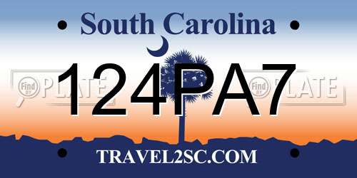 124PA7 South Carolina License Plate