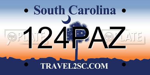 124PAZ South Carolina License Plate