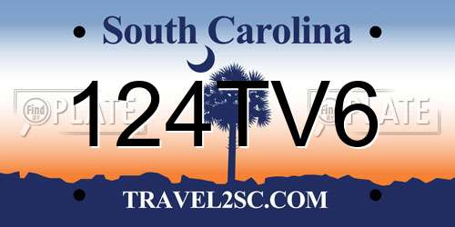 124TV6 South Carolina License Plate