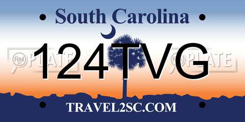124TVG South Carolina License Plate