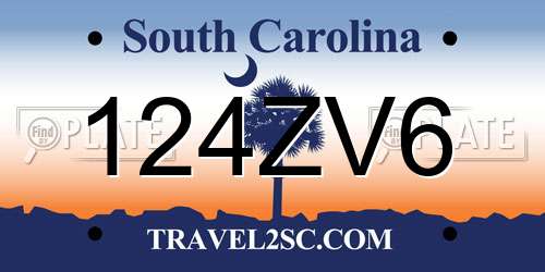 124ZV6 South Carolina License Plate