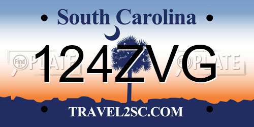 124ZVG South Carolina License Plate