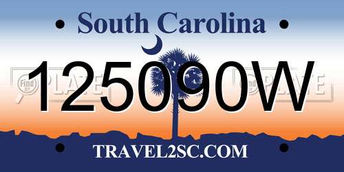125090W South Carolina License Plate