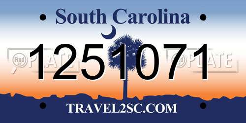 1251071 South Carolina License Plate