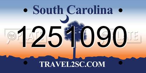 1251090 South Carolina License Plate