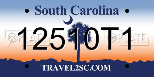 12510T1 South Carolina License Plate