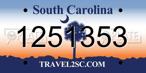 1251353 South Carolina License Plate