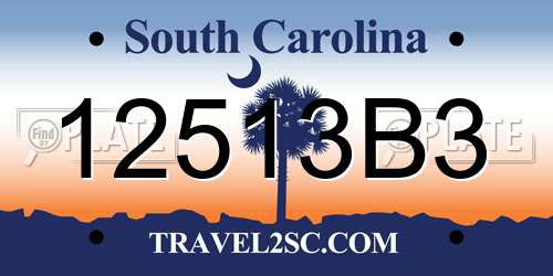 12513B3 South Carolina License Plate