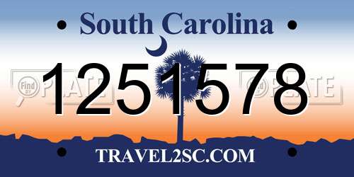 1251578 South Carolina License Plate