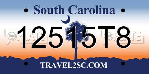 12515T8 South Carolina License Plate