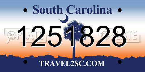 1251828 South Carolina License Plate