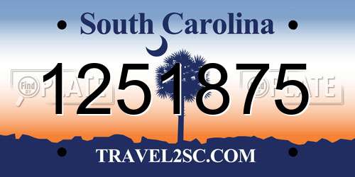 1251875 South Carolina License Plate