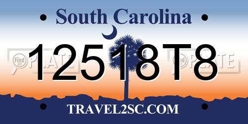 12518T8 South Carolina License Plate
