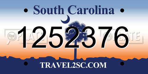 1252376 South Carolina License Plate