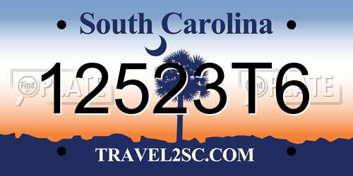 12523T6 South Carolina License Plate