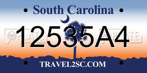 12535A4 South Carolina License Plate