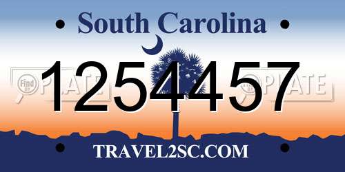 1254457 South Carolina License Plate