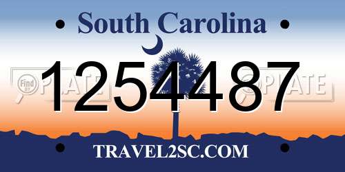 1254487 South Carolina License Plate