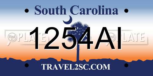 1254AI South Carolina License Plate