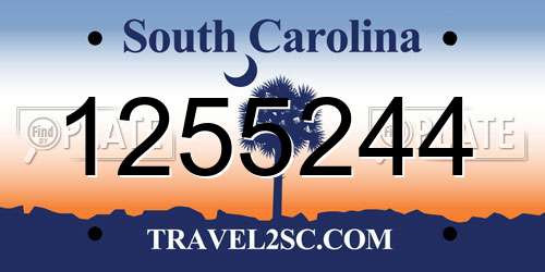 1255244 South Carolina License Plate