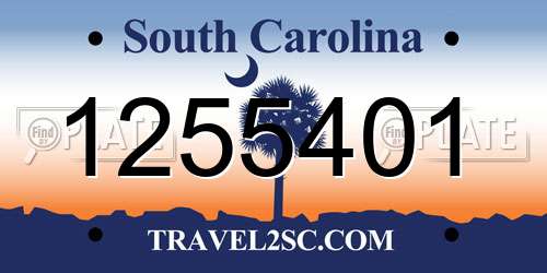 1255401 South Carolina License Plate