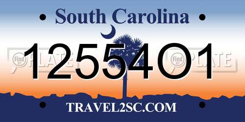 12554O1 South Carolina License Plate