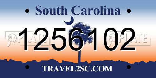 1256102 South Carolina License Plate