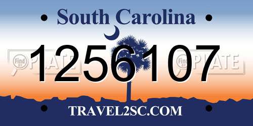 1256107 South Carolina License Plate
