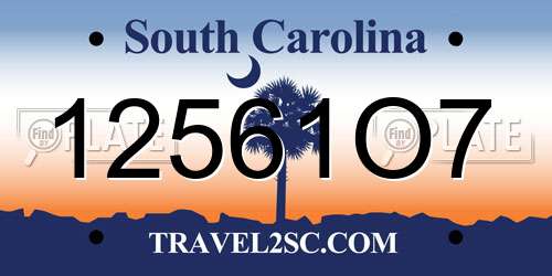 12561O7 South Carolina License Plate
