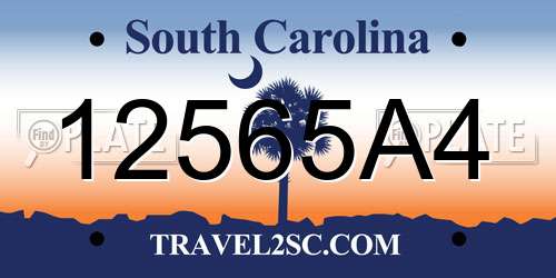 12565A4 South Carolina License Plate