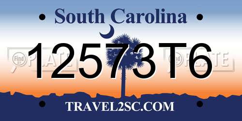 12573T6 South Carolina License Plate