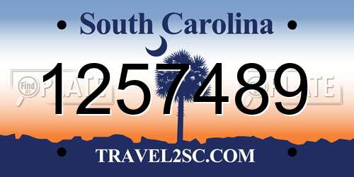 1257489 South Carolina License Plate