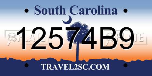 12574B9 South Carolina License Plate