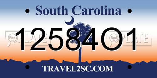 12584O1 South Carolina License Plate