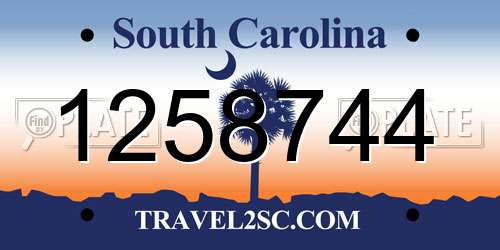 1258744 South Carolina License Plate