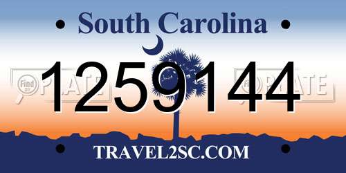 1259144 South Carolina License Plate