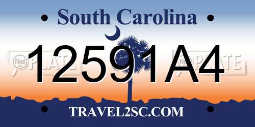 12591A4 South Carolina License Plate