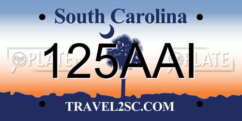 125AAI South Carolina License Plate