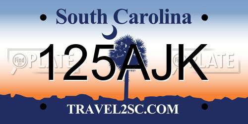 125AJK South Carolina License Plate