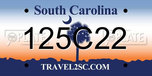125C22 South Carolina License Plate