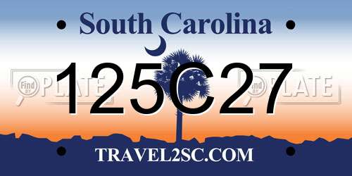 125C27 South Carolina License Plate