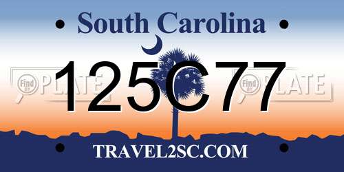 125C77 South Carolina License Plate