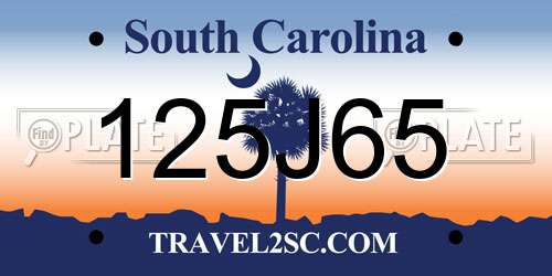 125J65 South Carolina License Plate