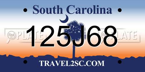 125J68 South Carolina License Plate