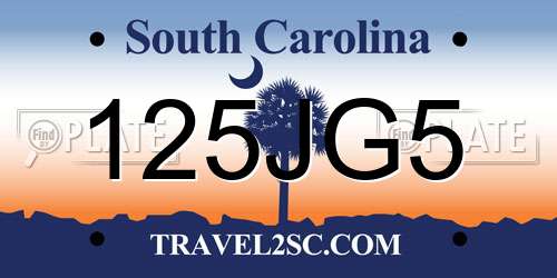 125JG5 South Carolina License Plate