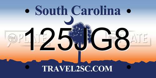 125JG8 South Carolina License Plate