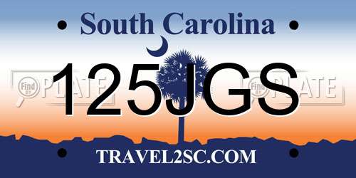 125JGS South Carolina License Plate