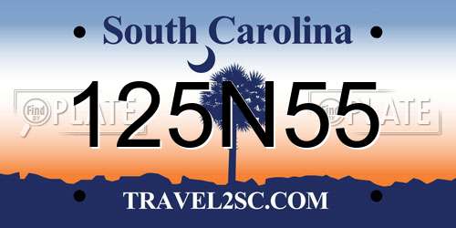 125N55 South Carolina License Plate