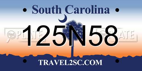 125N58 South Carolina License Plate