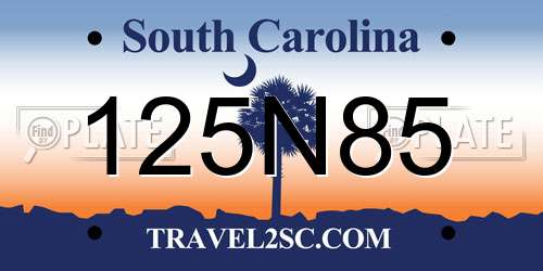 125N85 South Carolina License Plate